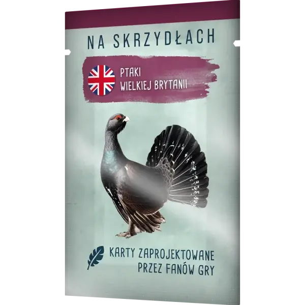 Gra planszowa Ale Bałagan - aktualna promocja i cena