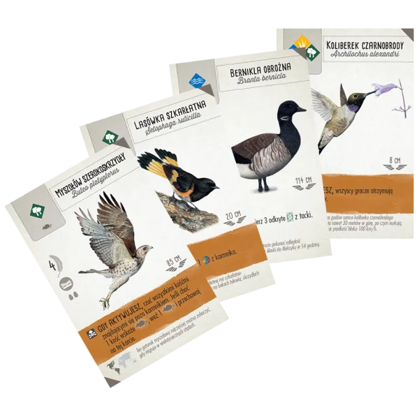 Gra planszowa Na skrzydłach: Ptaki Azji - aktualna promocja i cena